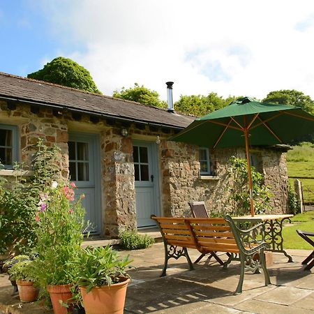 Dandelion Cottage, Amroth Bagian luar foto