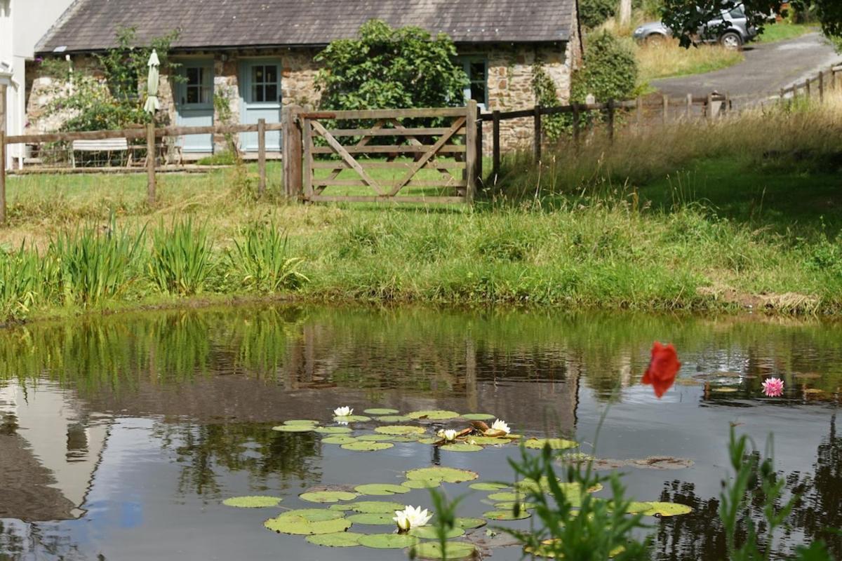Dandelion Cottage, Amroth Bagian luar foto