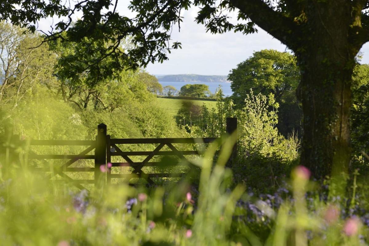 Dandelion Cottage, Amroth Bagian luar foto